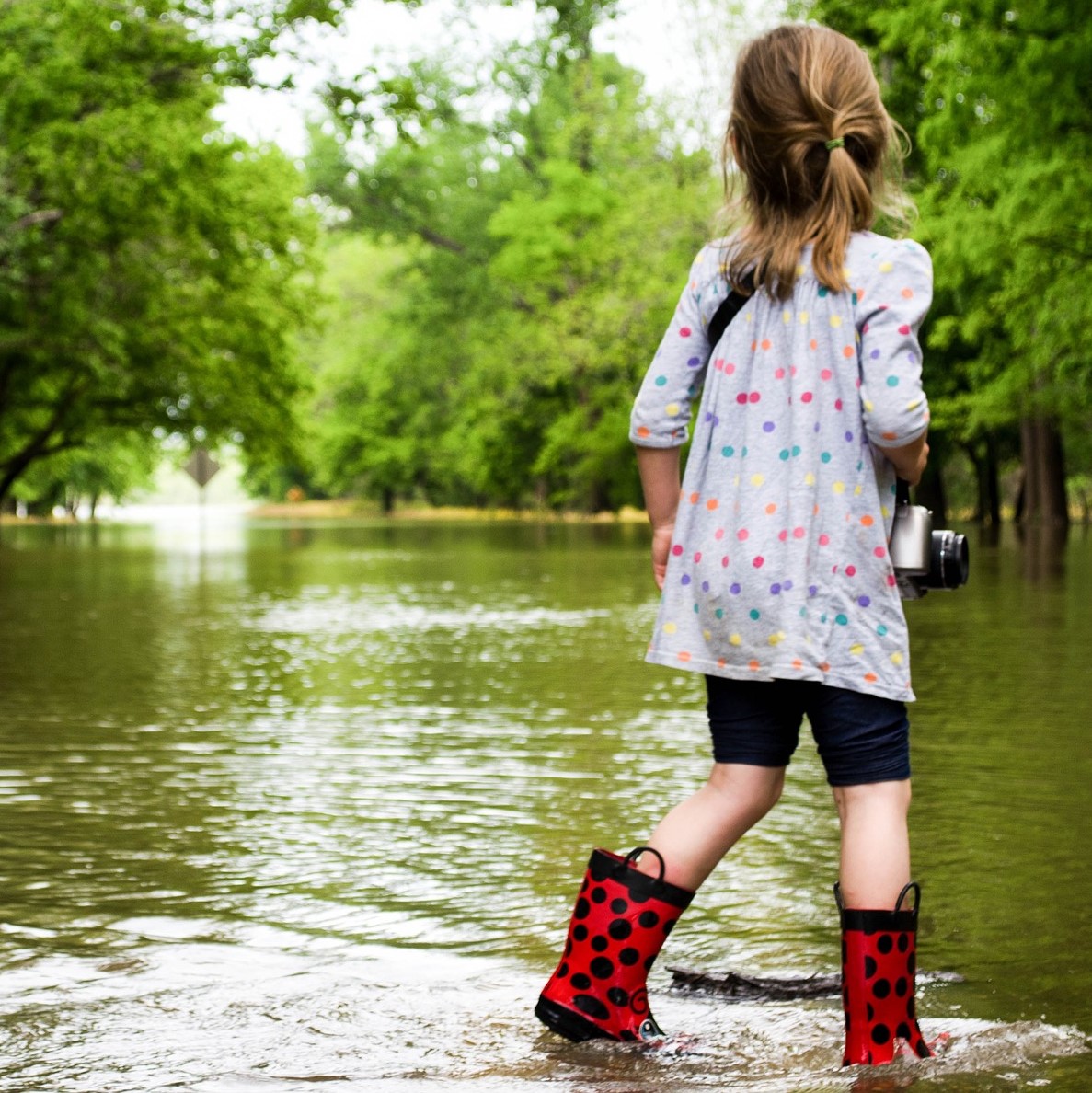 An outdoor scene. The ground is hidden as it is covered in water. Trees rise from the water in the background.  In the foreground a young girl has her back to us: she looks towards the trees while standing in the water