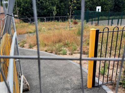 hawthorn-meadow-amenity-and-path-july-2025